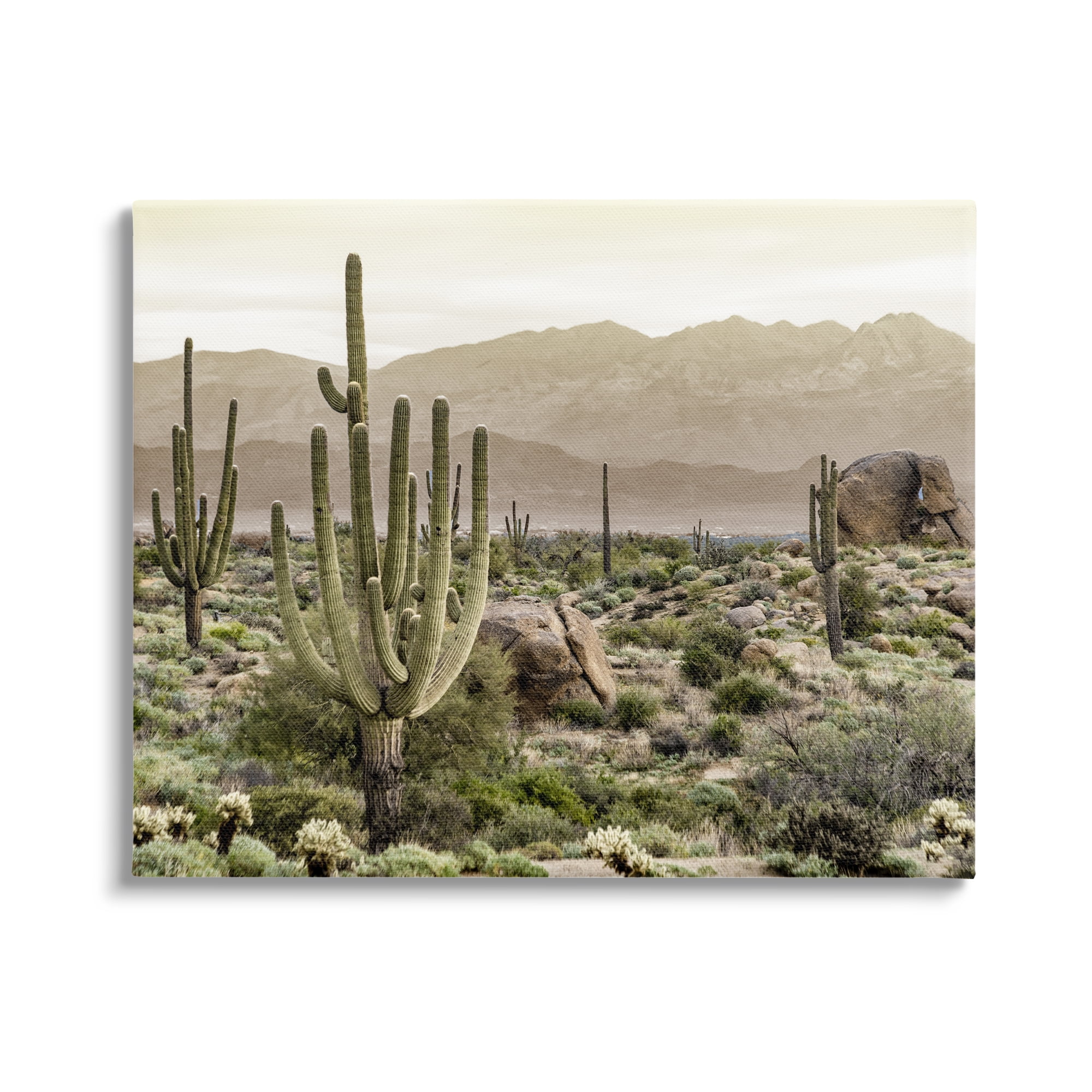 Stupell Industries Rocky Desert Landscape Landscape Photography Gallery Wrapped Canvas Art Print Wall Art, 40 x 30