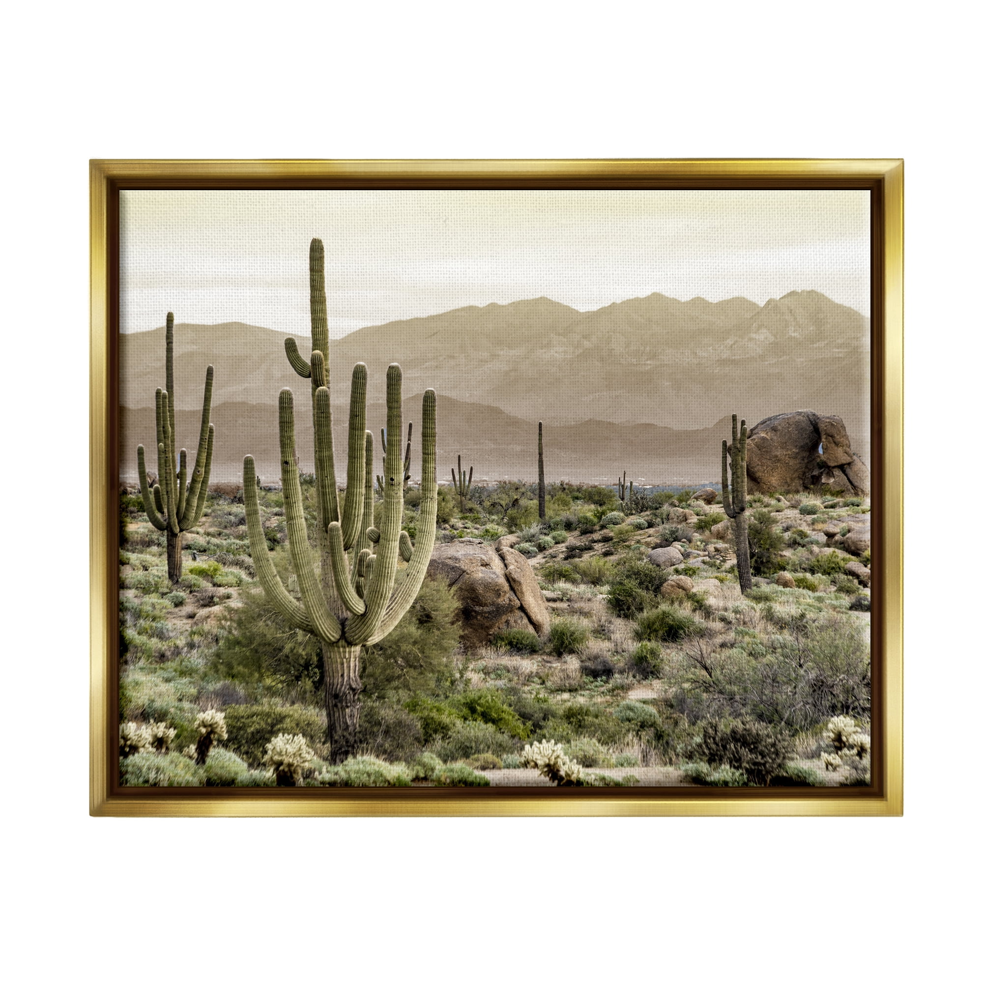 Stupell Industries Rocky Desert Landscape Landscape Photography Gold Floater Framed Canvas Art Print Wall Art, 21 x 17