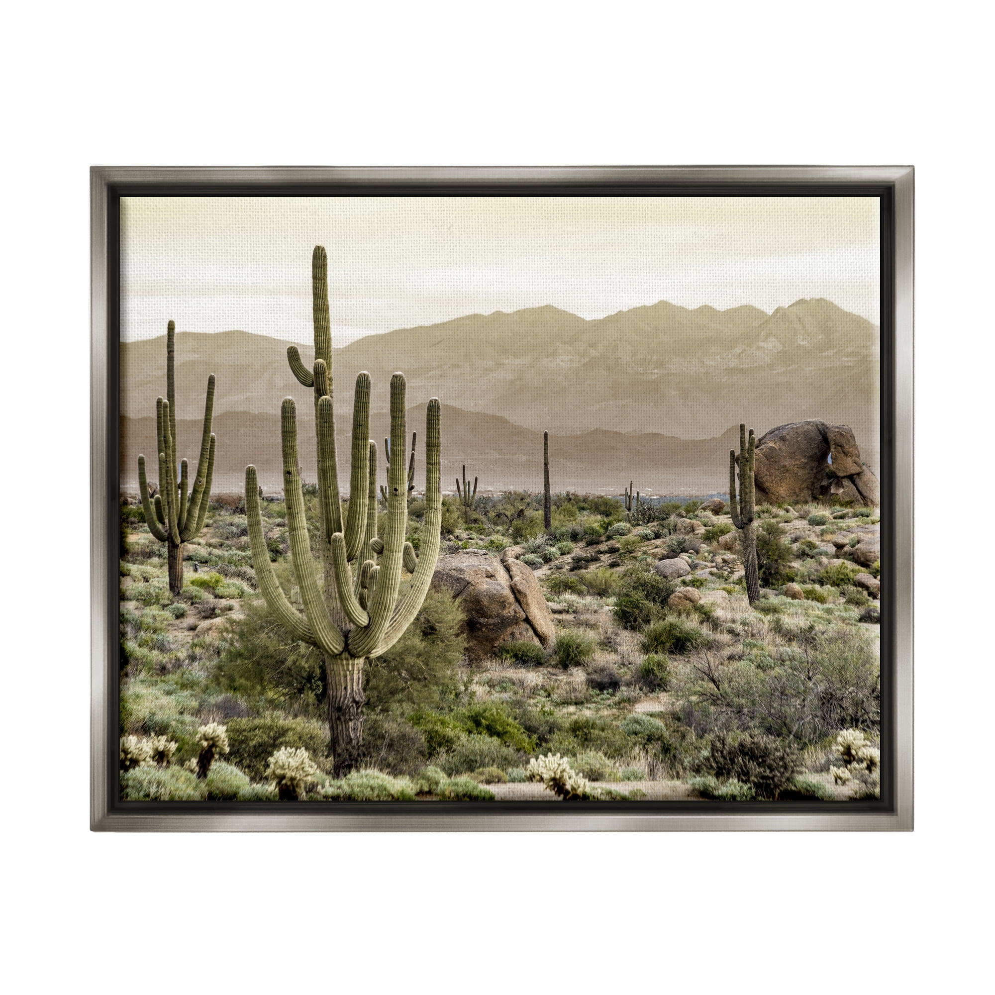 Stupell Industries Rocky Desert Landscape Landscape Photography Gray Floater Framed Canvas Art Print Wall Art, 21 x 17