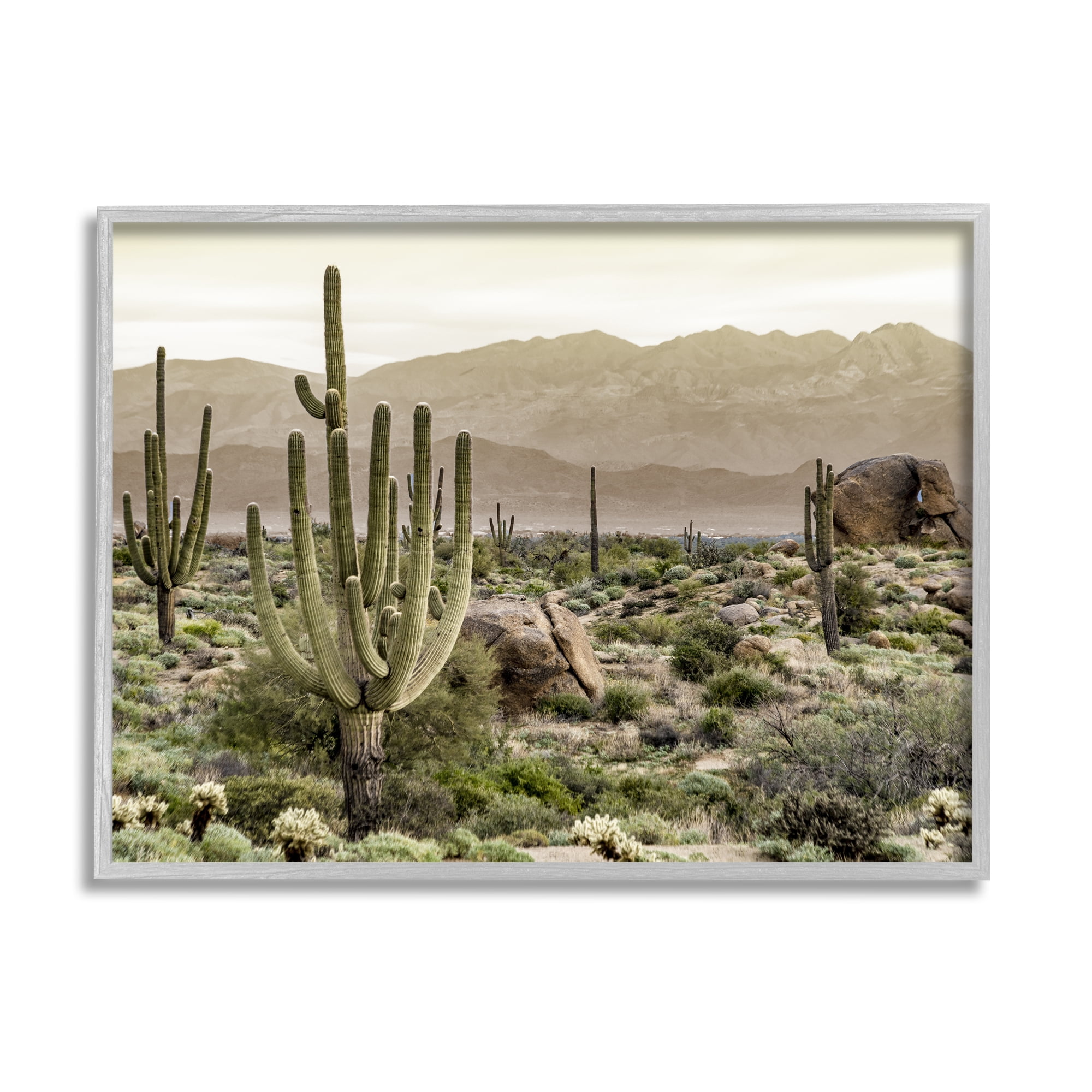 Stupell Industries Rocky Desert Landscape Landscape Photography Gray Framed Art Print Wall Art, 20 x 16