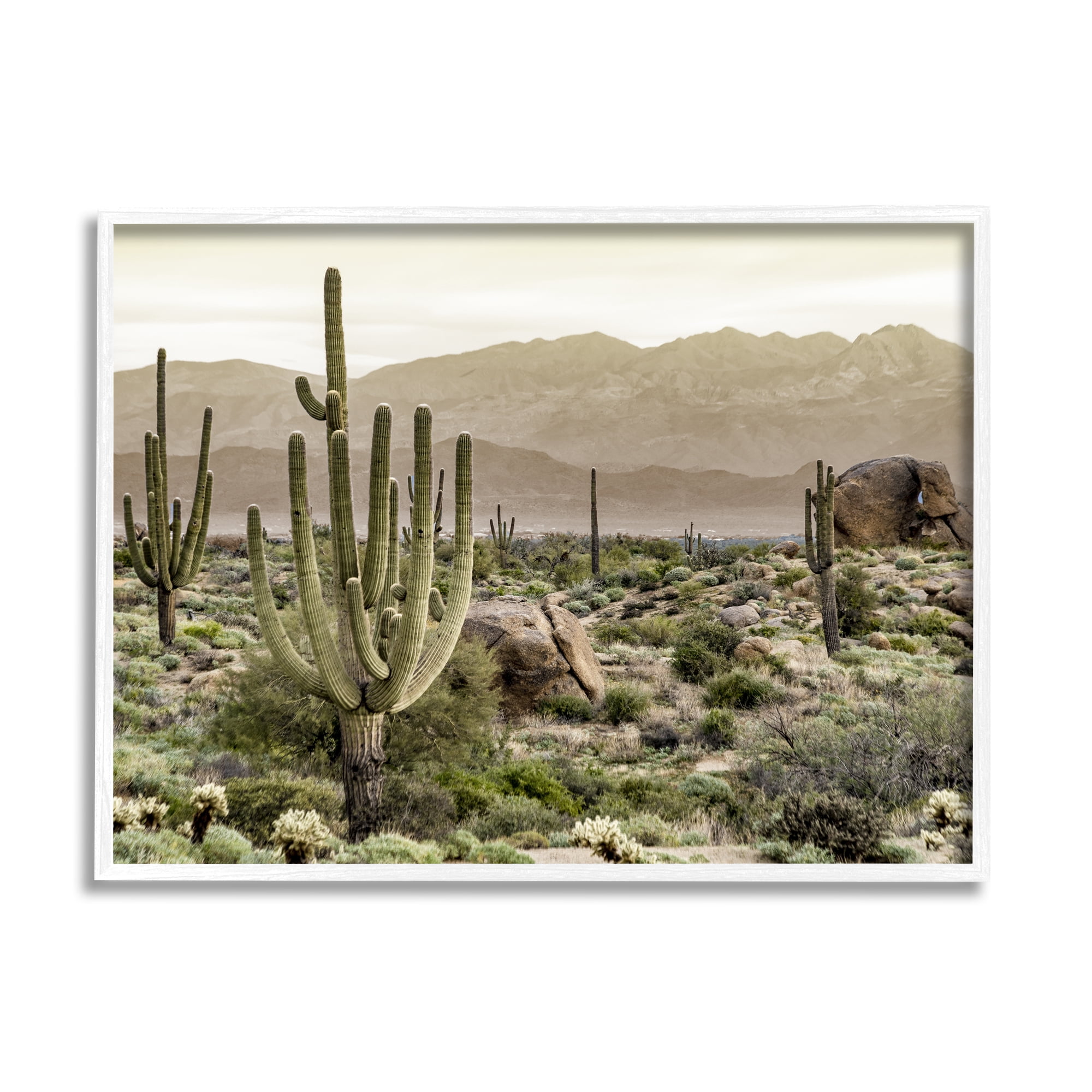 Stupell Industries Rocky Desert Landscape Landscape Photography White Framed Art Print Wall Art, 14 x 11