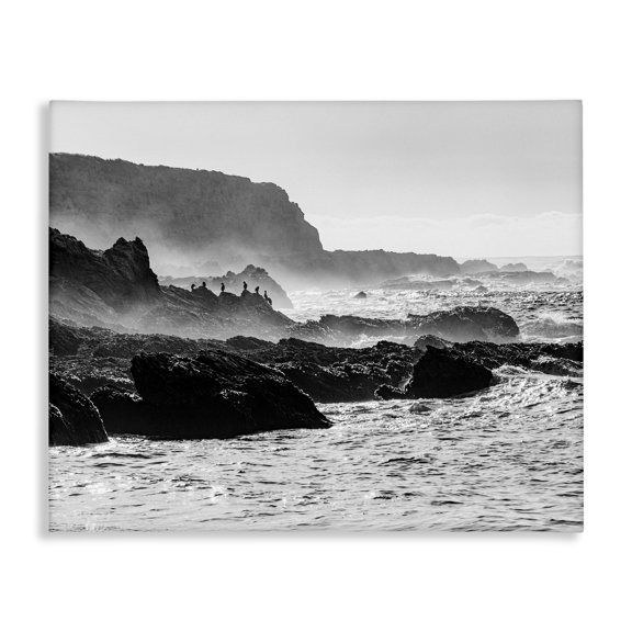 Stupell Industries Contemporary Rocky Ocean Shoreline Waves Distant Birds Perched Canvas Art, 48 x 36, by Steve Smith