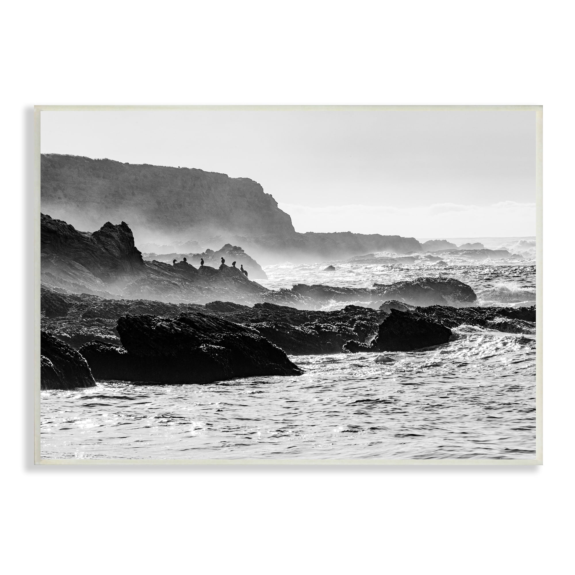 Stupell Industries Rocky Ocean Shoreline Waves Distant Birds Perched Photograph Unframed Art Print Wall Art, Design by Steve Smith