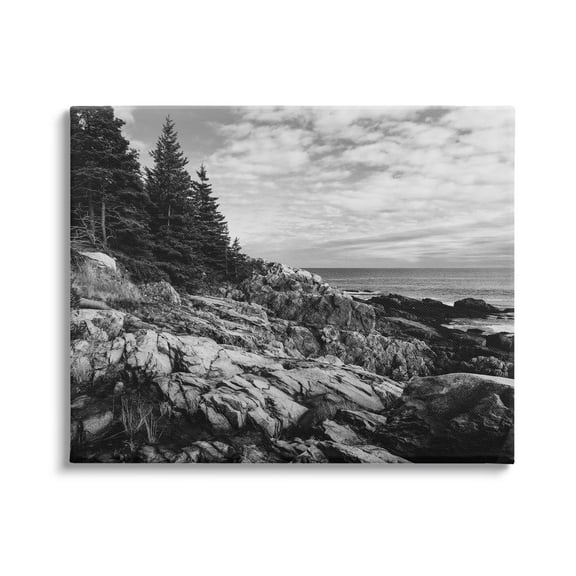 Stupell Industries Rocky Ocean Water Cloudy Coast Monochrome Nature Canvas Wall Art, 20 x 16, Design by Daniel Sproul