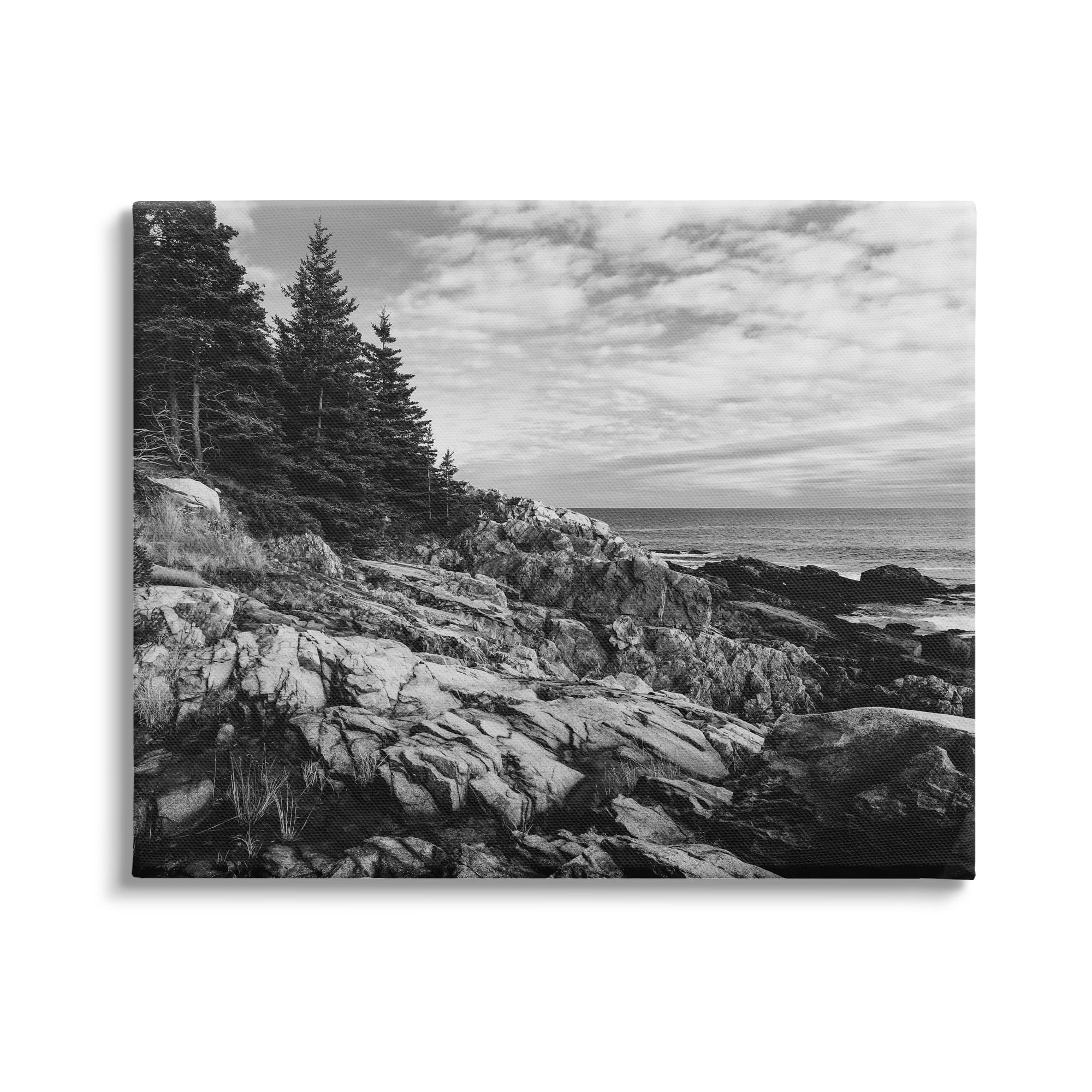 Stupell Industries Rocky Ocean Water Cloudy Coast Monochrome Nature Canvas Wall Art, 40 x 30, Design by Daniel Sproul