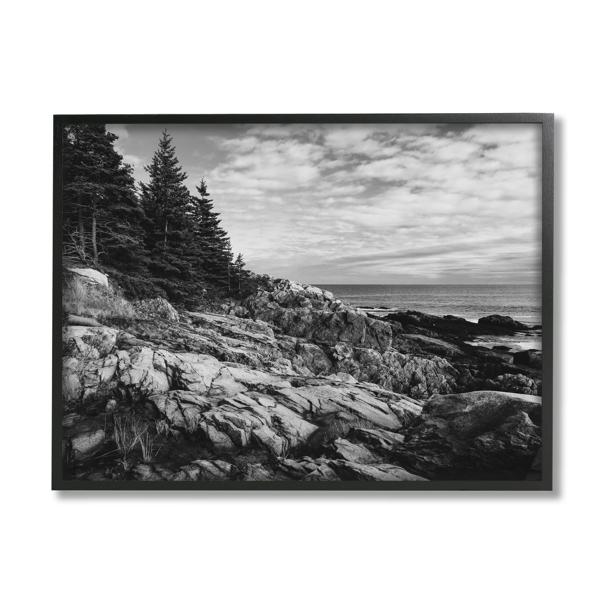 Stupell Industries Rocky Ocean Water Cloudy Coast Monochrome Nature Framed Wall Art, 20 x 16, Design by Daniel Sproul