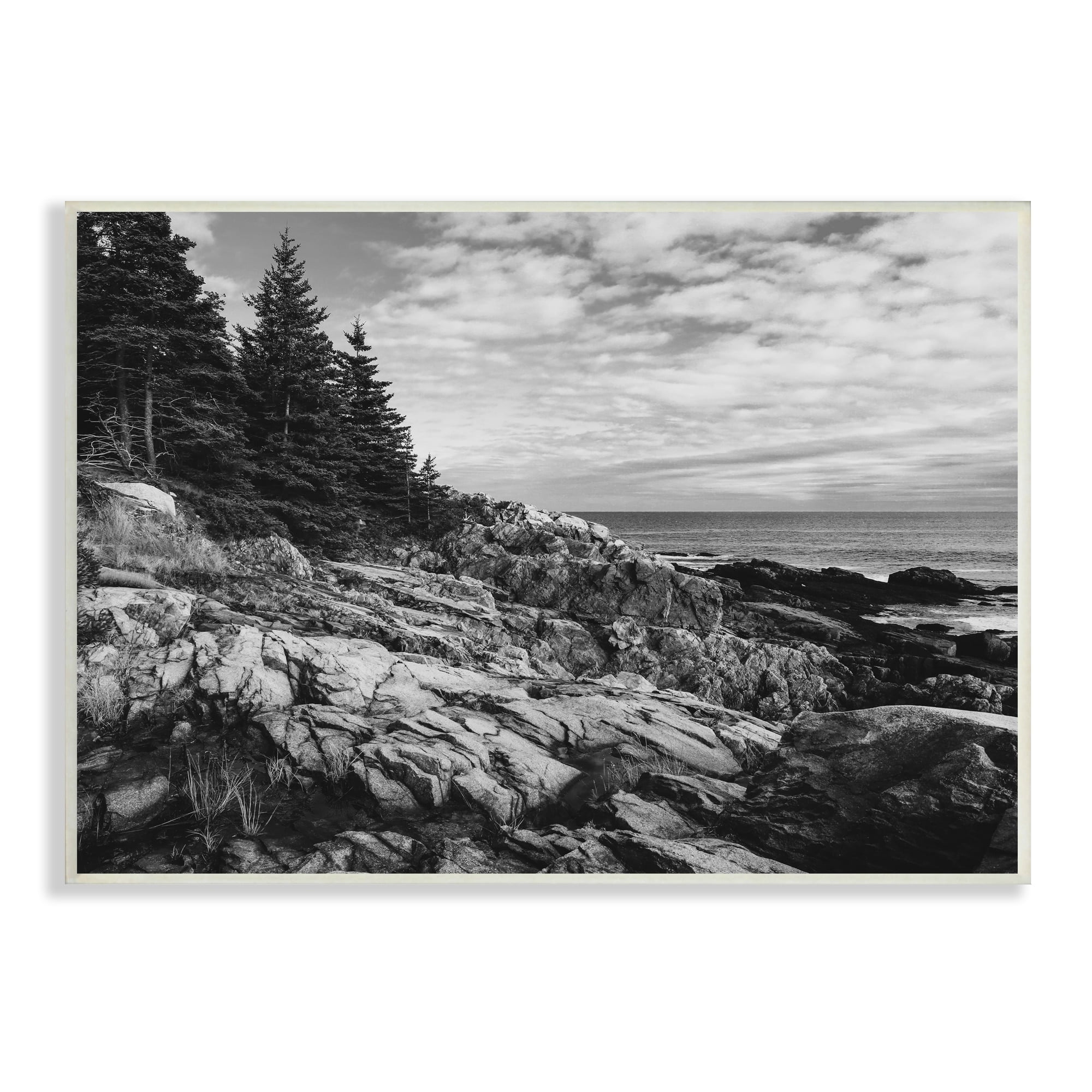 Stupell Industries Rocky Ocean Water Cloudy Coast Monochrome Nature Wood Wall Art, 15 x 10, Design by Daniel Sproul