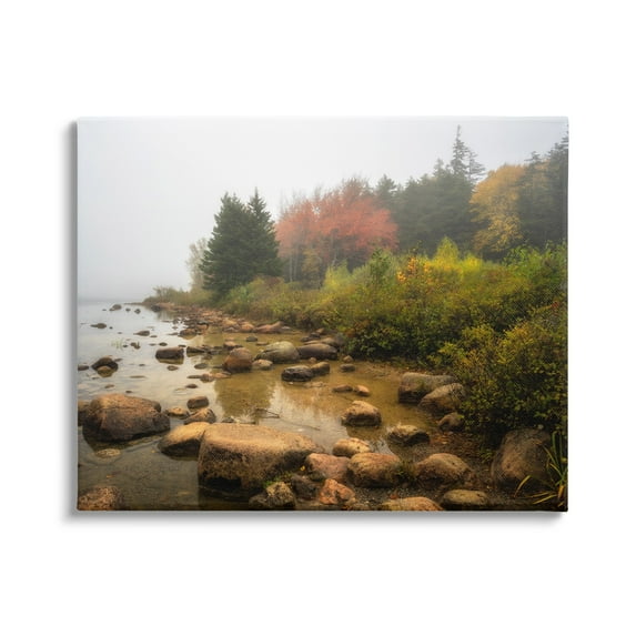 Stupell Industries Rocky Shore Woodland Foliage Coastal Photography Gallery Wrapped Canvas Print Wall Art