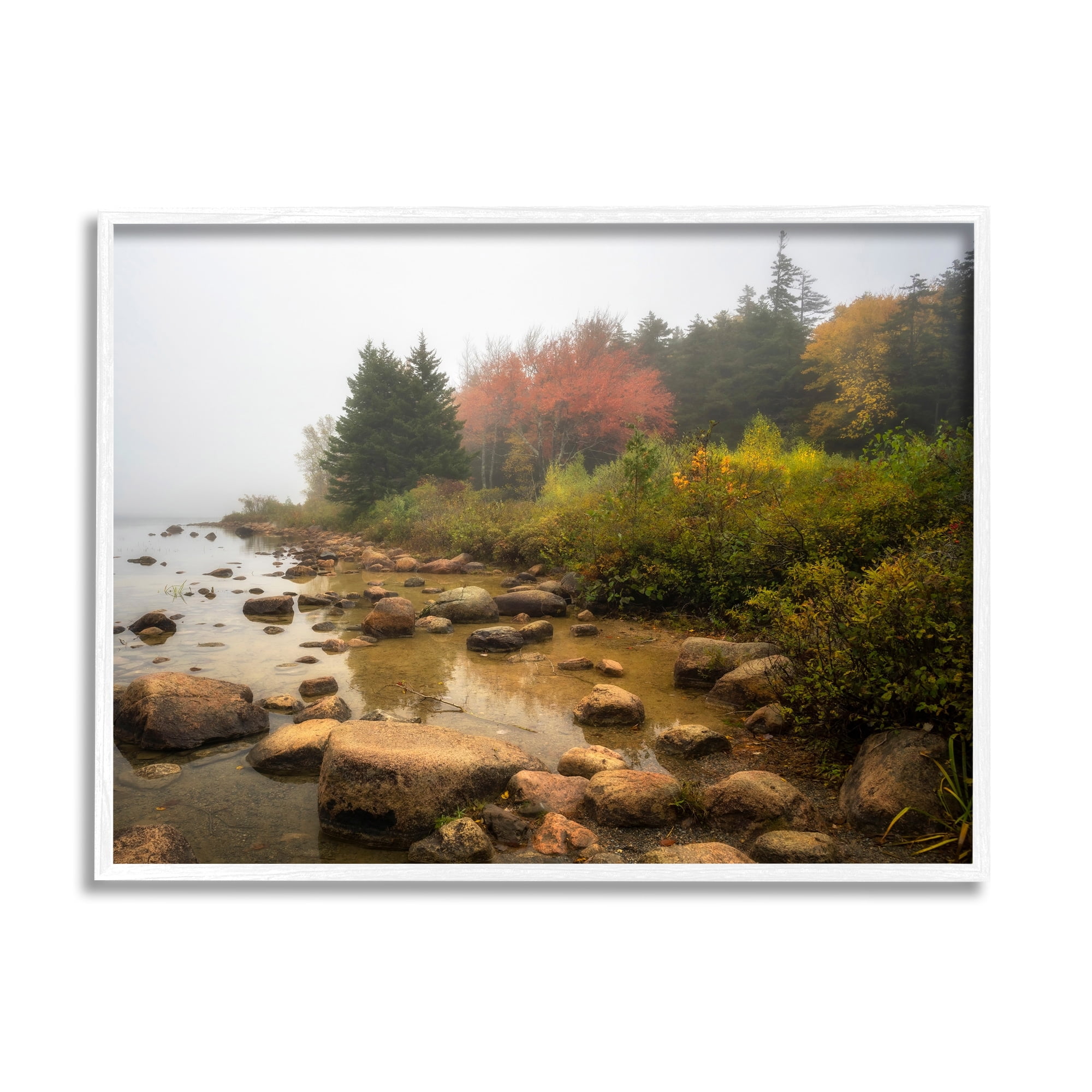 Stupell Industries Rocky Shore Woodland Foliage Coastal Photography White Framed Art Print Wall Art