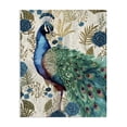 thumbnail image 1 of Stupell Industries Glam Rococo Peacock Pride Canvas Art, 30 x 40, by Kim Allen, 1 of 8