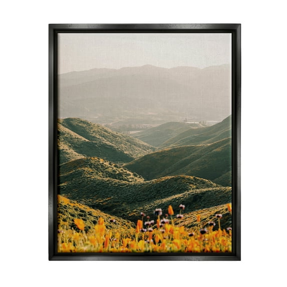 Stupell Industries Rolling Hills Meadow Landscape Landscape Photography Black Floater Framed Art Print Wall Art