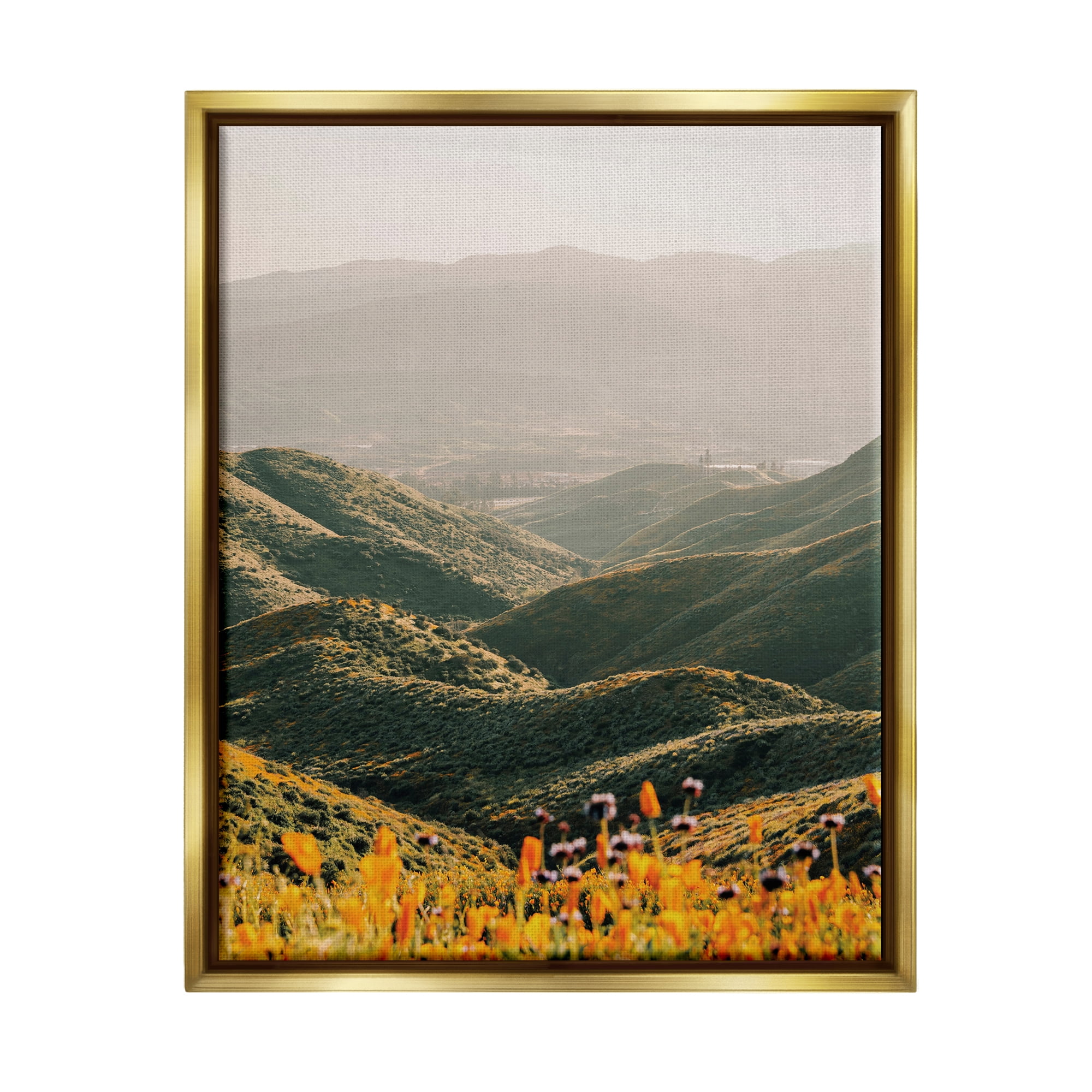 Stupell Industries Rolling Hills Meadow Landscape Landscape Photography Gold Floater Framed Art Print Wall Art