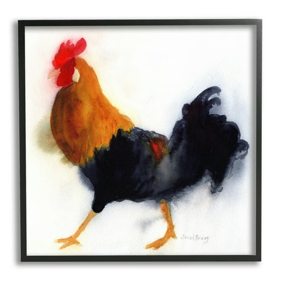 Stupell Industries Rooster Bird Stepping Fluffy Feathers Watercolor Detail Painting Black Framed Art Print Wall Art, Design by Janel Bragg
