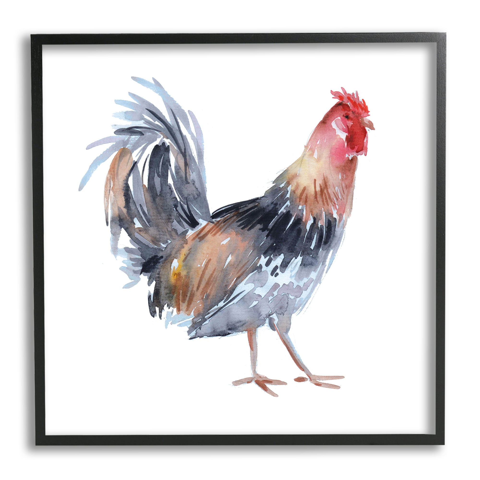 12" x 12" Black Framed Canvas Rooster Animal Print