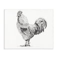 thumbnail image 1 of Stupell Industries Rustic Lodge Rooster in Charcoal Canvas Art, 20 x 16, by Leah Noel Art, 1 of 8