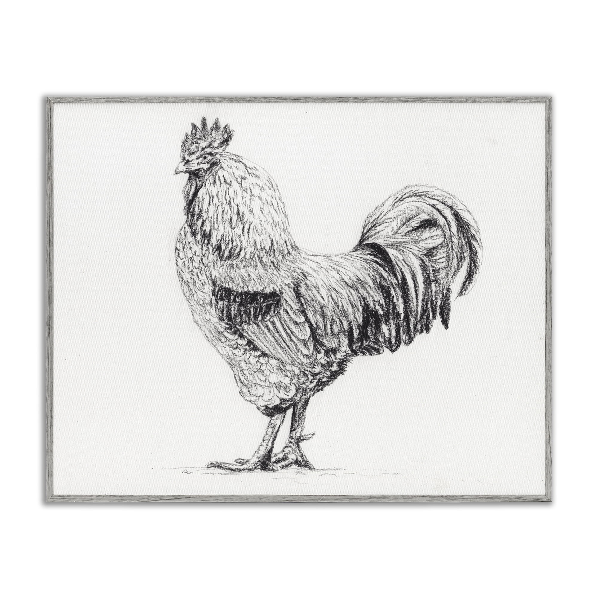 Stupell Industries Rooster in Charcoal Gray Framed Giclee Art, design by Leah Noel Art