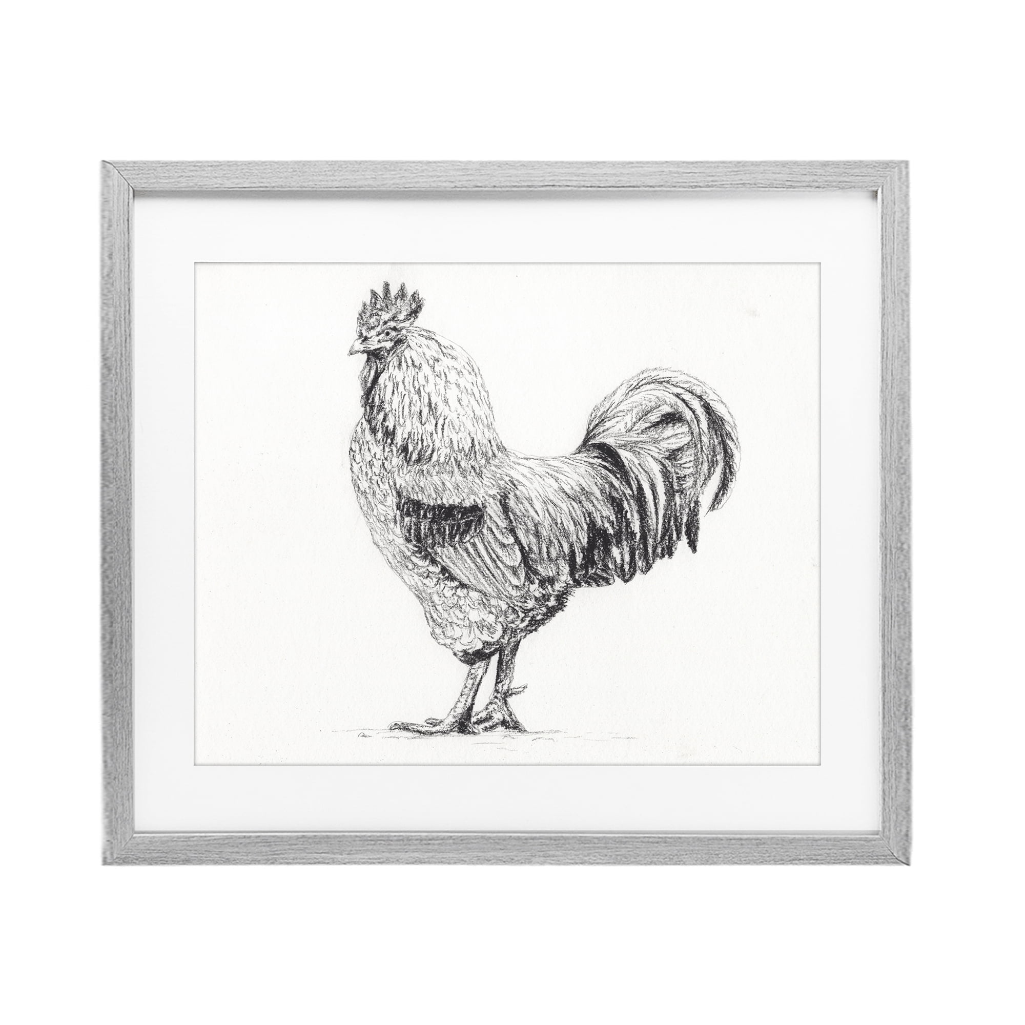 Stupell Industries Rooster in Charcoal Gray Framed Print Under Glass, design by Leah Noel Art