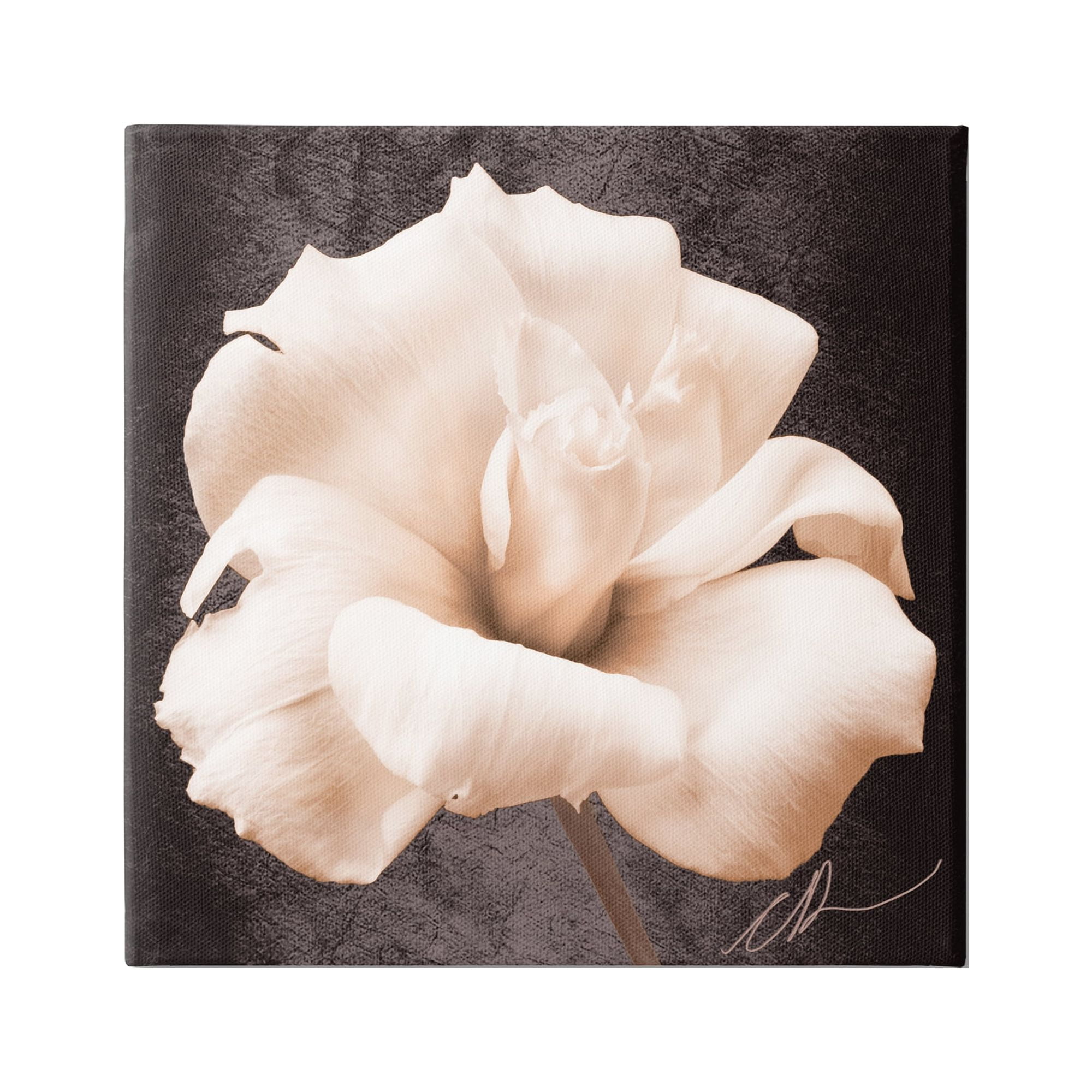 Stupell Industries Rose Petal Photography Botanical & Floral Painting Gallery Wrapped Canvas Art Print Wall Art, 17 x 17