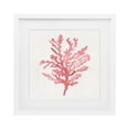 thumbnail image 1 of Stupell Industries Contemporary Rosy Pink Coral Branch White Framed Print Under Glass, 16 x 16, by Janet Tava, 1 of 8