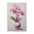 thumbnail image 1 of Stupell Industries Rosy Pink Orchid Botanical & Floral Painting Gallery Wrapped Canvas Art Print Wall Art, 16 x 24, 1 of 8