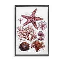Stupell Industries Rosy Undersea Creatures Animals Painting Black Floater Framed Canvas Art Print Wall Art, 17 x 25