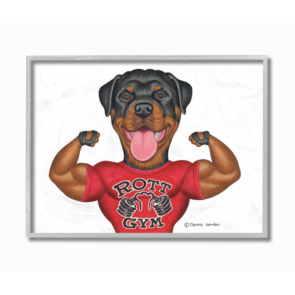 Stupell Industries Rott Gym Dog Pun Weightlifting Pet Illustration Designed by Danny Gordan