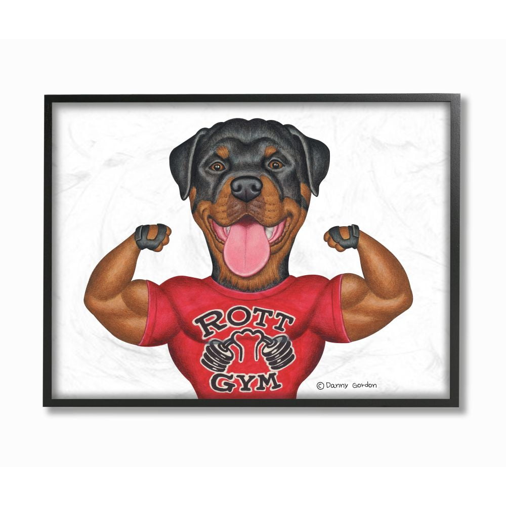 Stupell Industries Rott Gym Dog Pun Weightlifting Pet Illustration Designed by Danny Gordan
