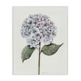 thumbnail image 1 of Round Hydrangea Bulb Canvas Art, 36 x 48, Made In USA, 1 of 6