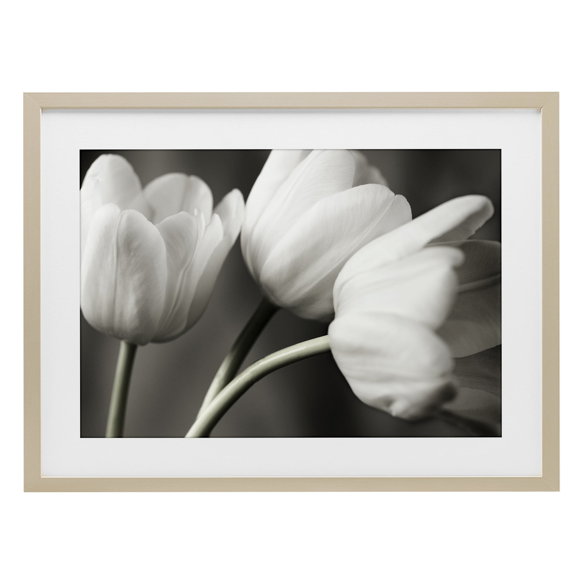 Stupell Industries Row Of Monochrome Tulips Birch Framed Print Under Glass, design by Tom Quartermaine