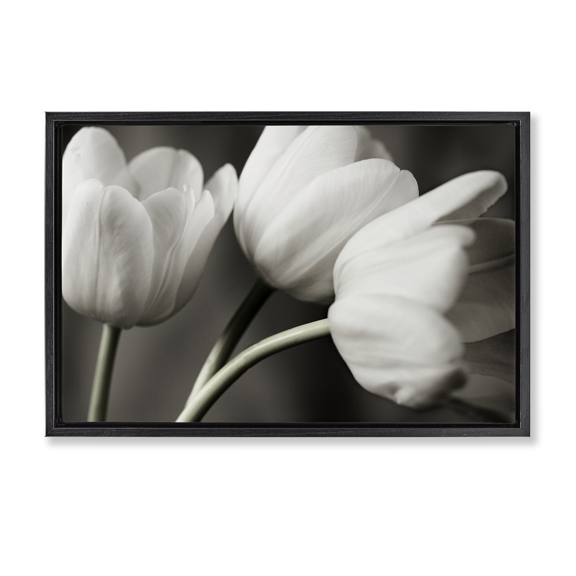 Stupell Industries Row Of Monochrome Tulips Black Framed Floater Canvas Wall Art, design by Tom Quartermaine