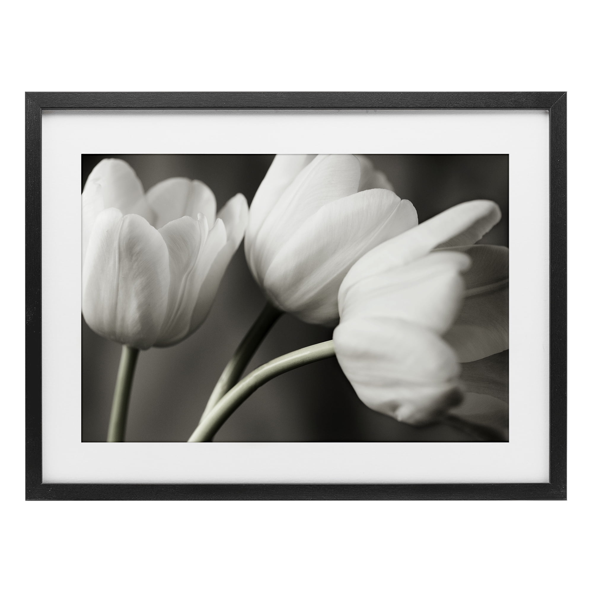Stupell Industries Row Of Monochrome Tulips Black Framed Print Under Glass, design by Tom Quartermaine