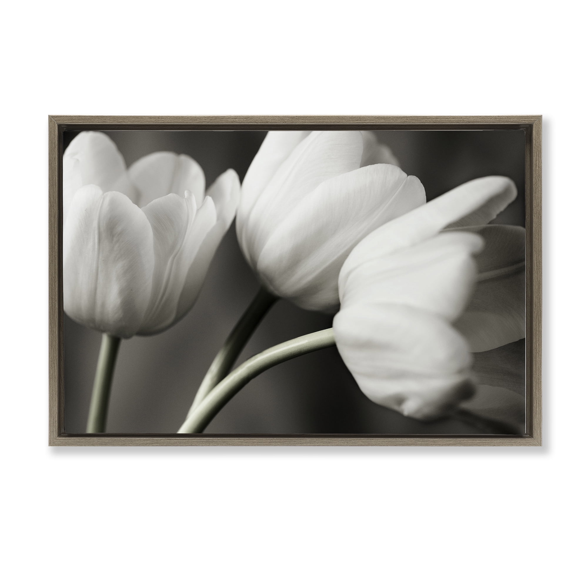 Stupell Industries Row Of Monochrome Tulips Brown Framed Floater Canvas Wall Art, design by Tom Quartermaine