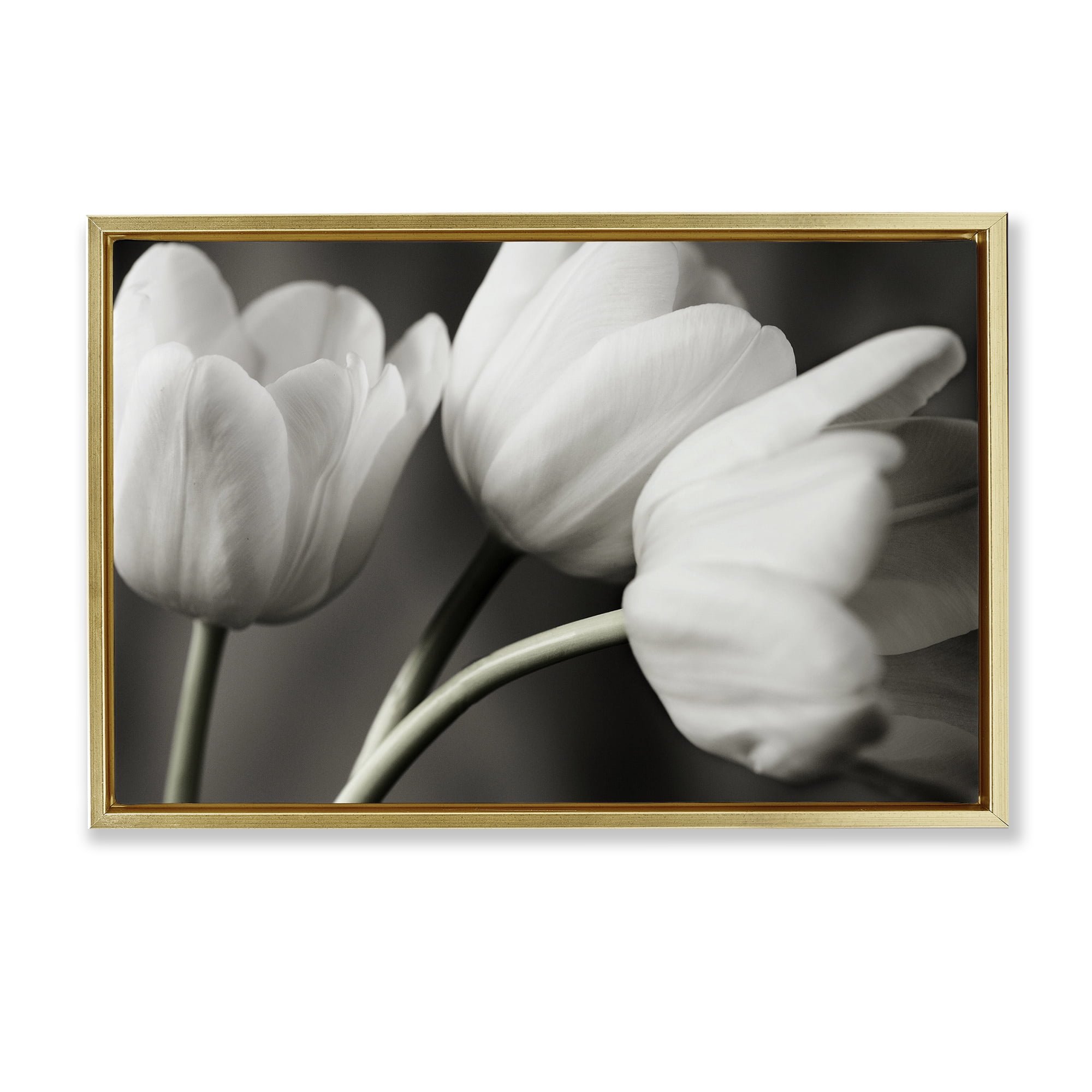 Stupell Industries Row Of Monochrome Tulips Gold Framed Floater Canvas Wall Art, design by Tom Quartermaine