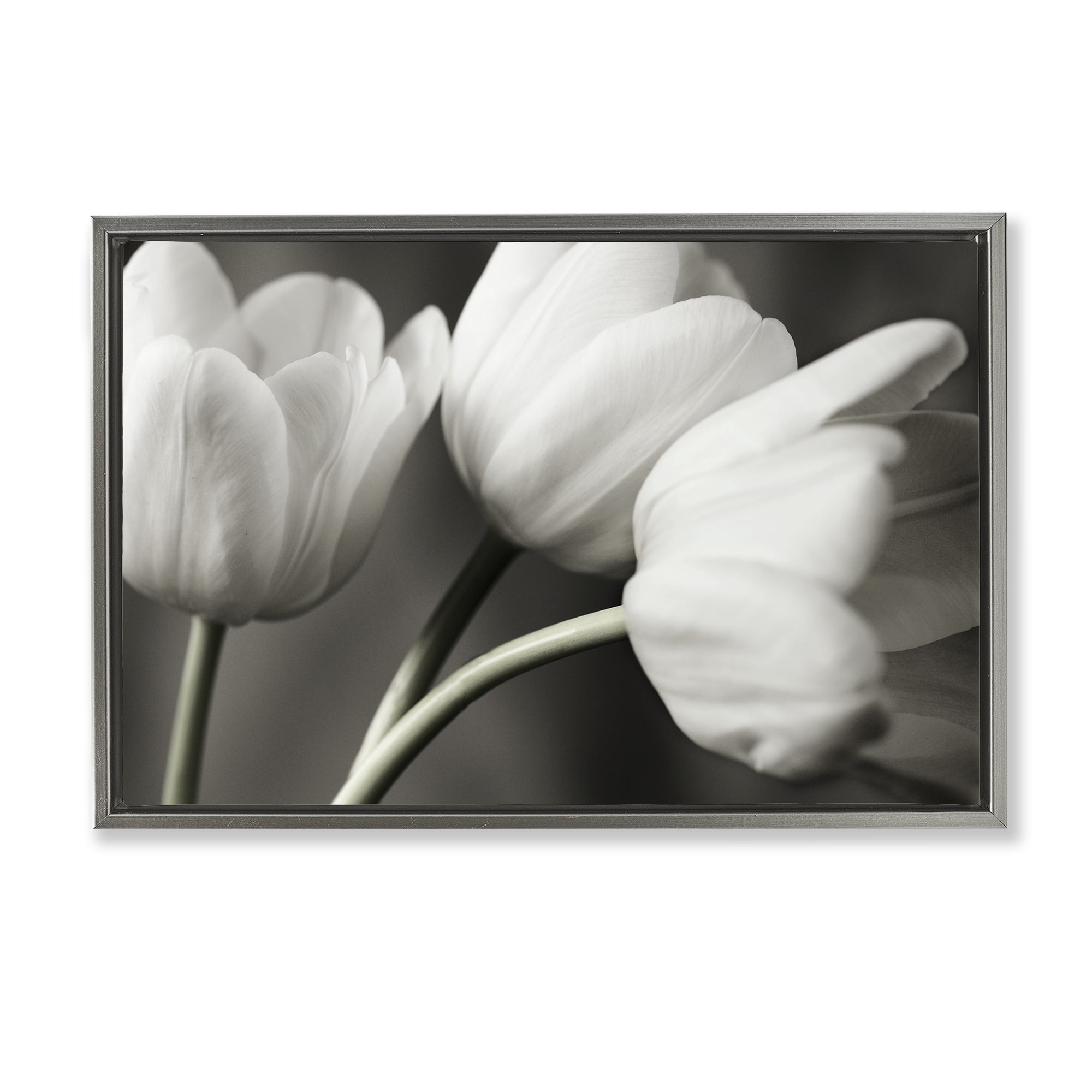 Stupell Industries Row Of Monochrome Tulips Gray Framed Floater Canvas Wall Art, design by Tom Quartermaine