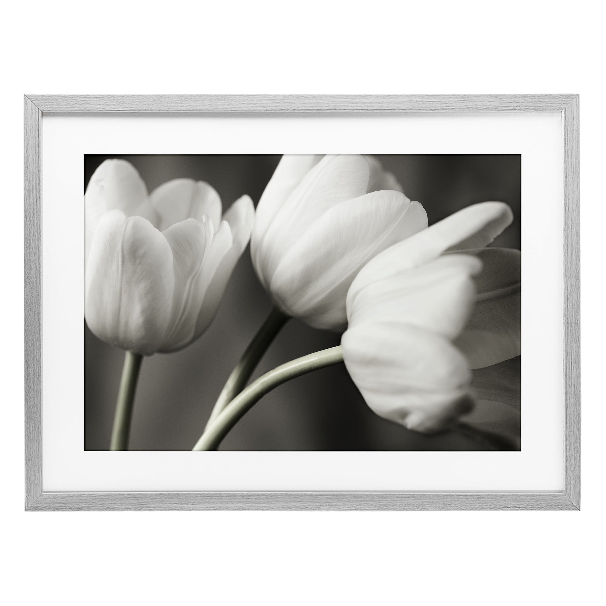 Stupell Industries Row Of Monochrome Tulips Gray Framed Print Under Glass, design by Tom Quartermaine