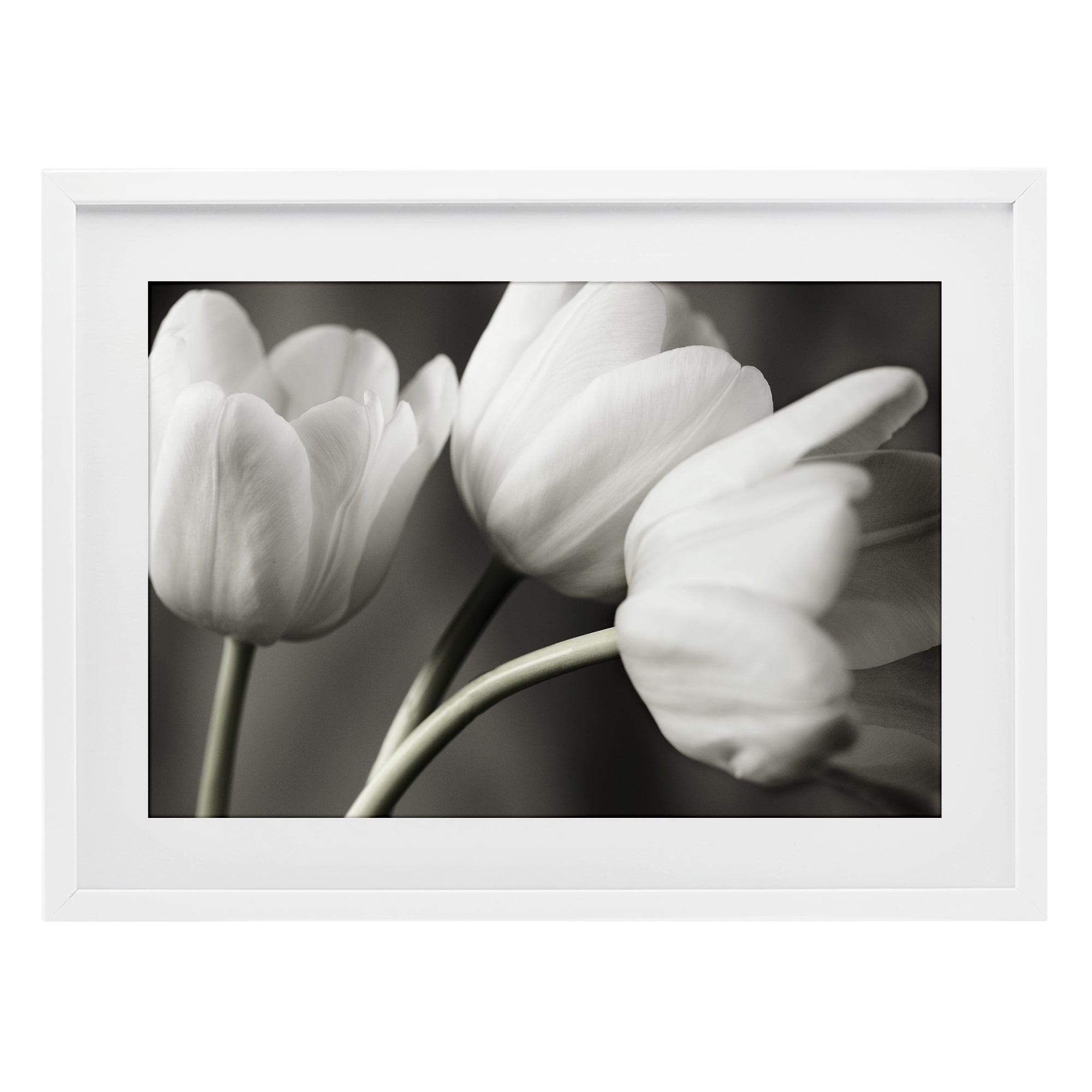 Stupell Industries Row Of Monochrome Tulips White Framed Print Under Glass, design by Tom Quartermaine