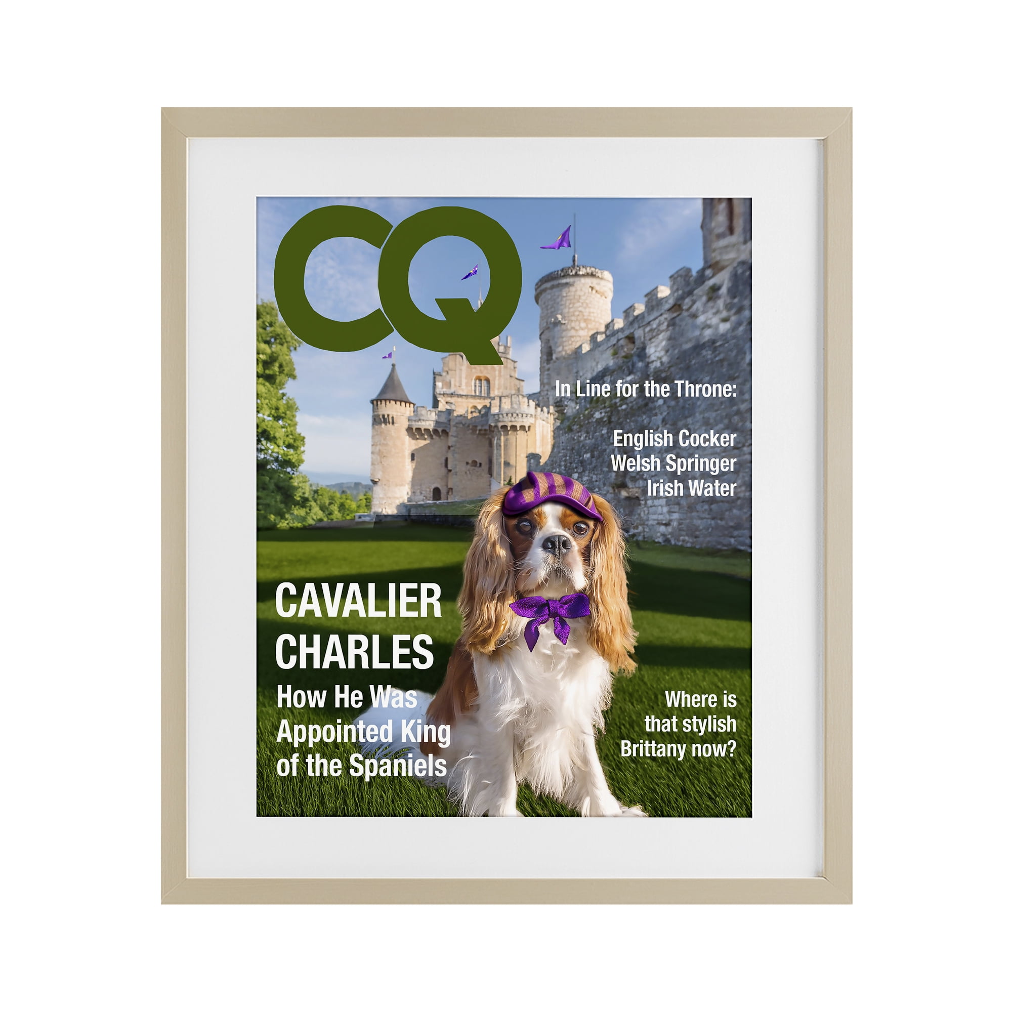 Stupell Industries Royal Cavalier Magazine Birch Framed Print Under Glass, design by Grotto Studios