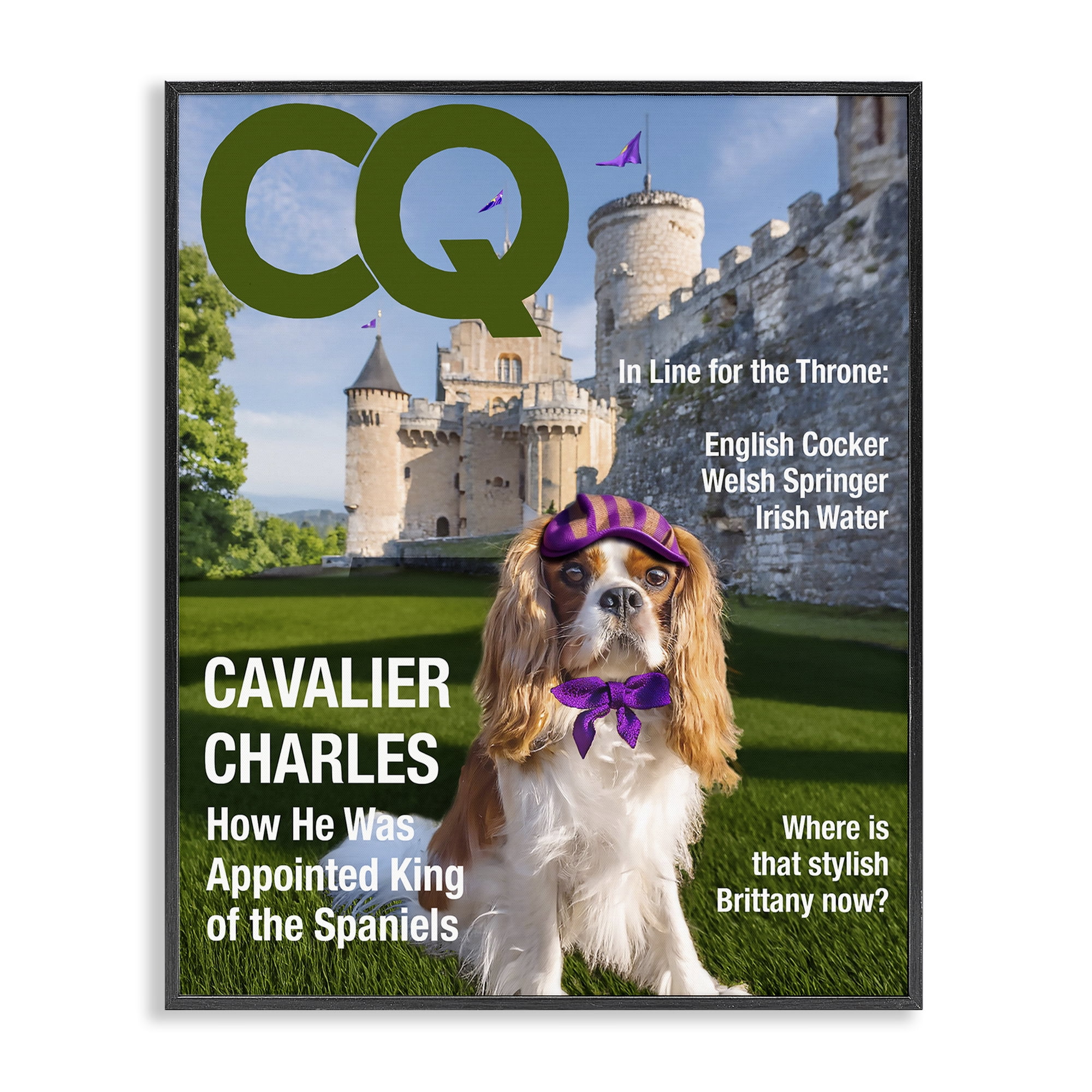 Stupell Industries Royal Cavalier Magazine Black Framed Giclee Art, design by Grotto Studios