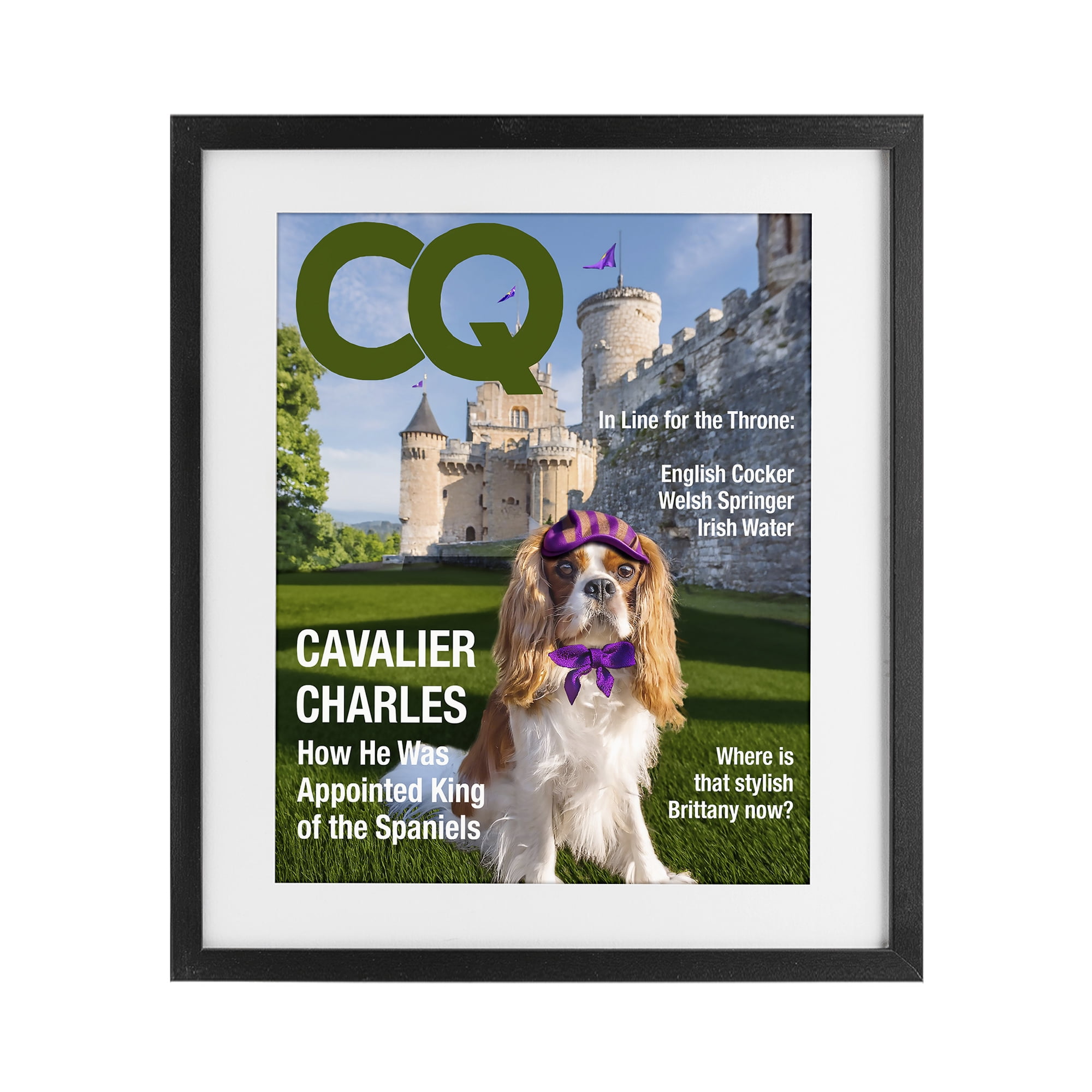 Stupell Industries Royal Cavalier Magazine Black Framed Print Under Glass, design by Grotto Studios