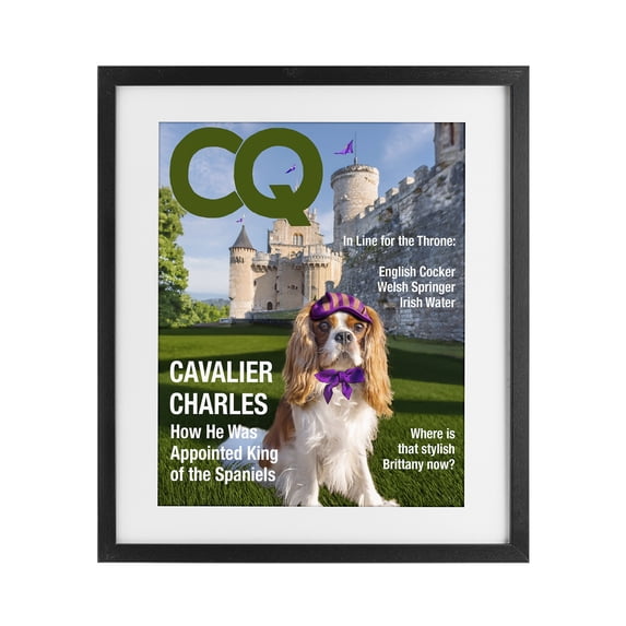 Stupell Industries Eclectic Royal Cavalier Magazine Black Framed Print Under Glass, 13 x 16, by Grotto Studios