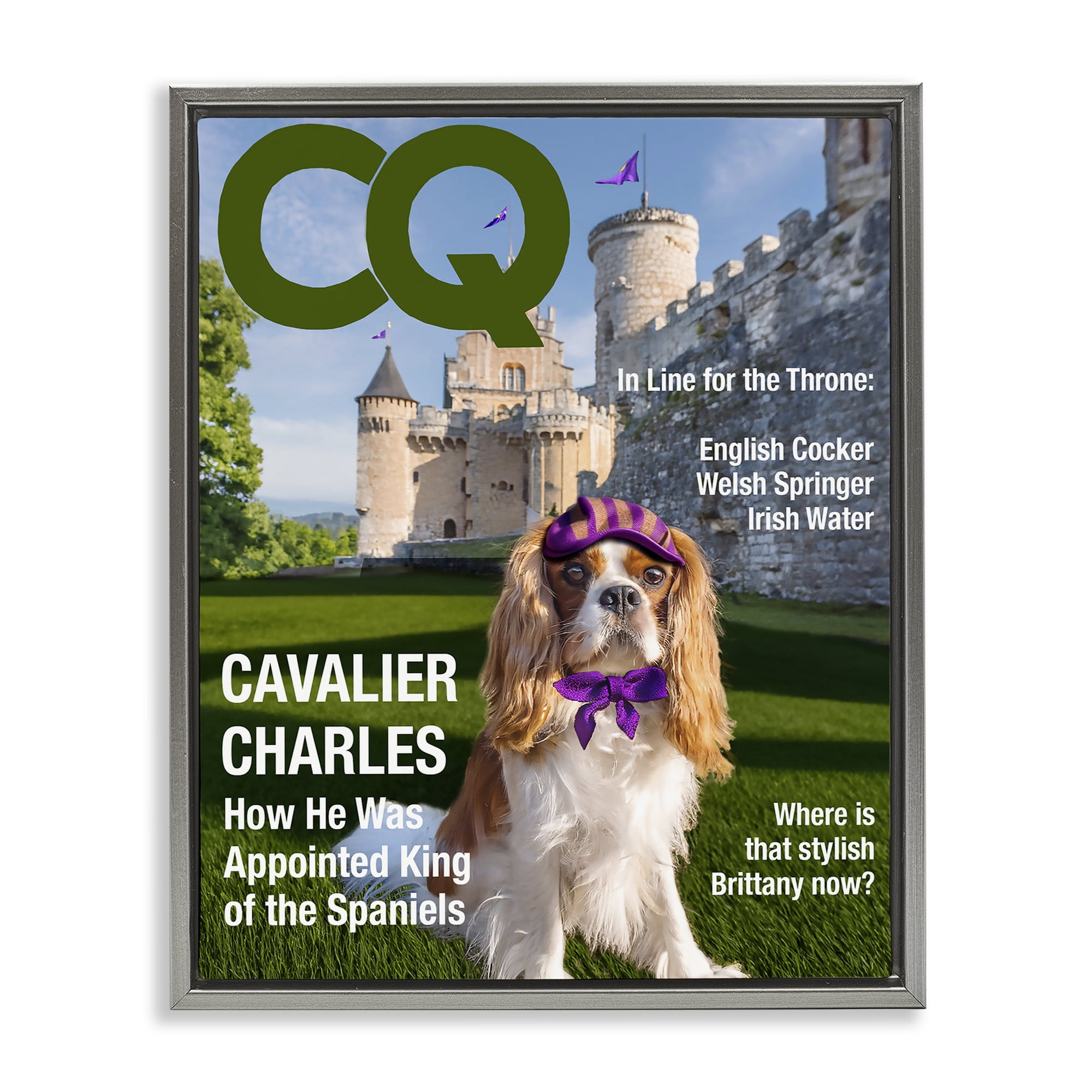 Stupell Industries Royal Cavalier Magazine Gray Framed Floater Canvas Wall Art, design by Grotto Studios