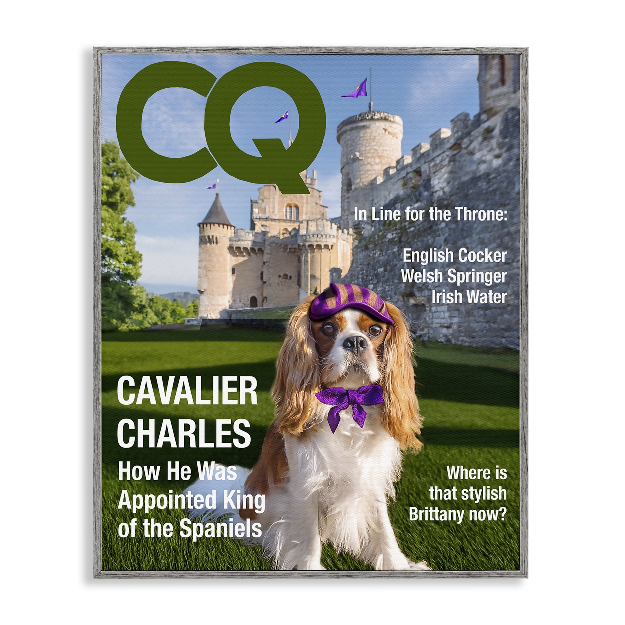 Stupell Industries Royal Cavalier Magazine Gray Framed Giclee Art, design by Grotto Studios