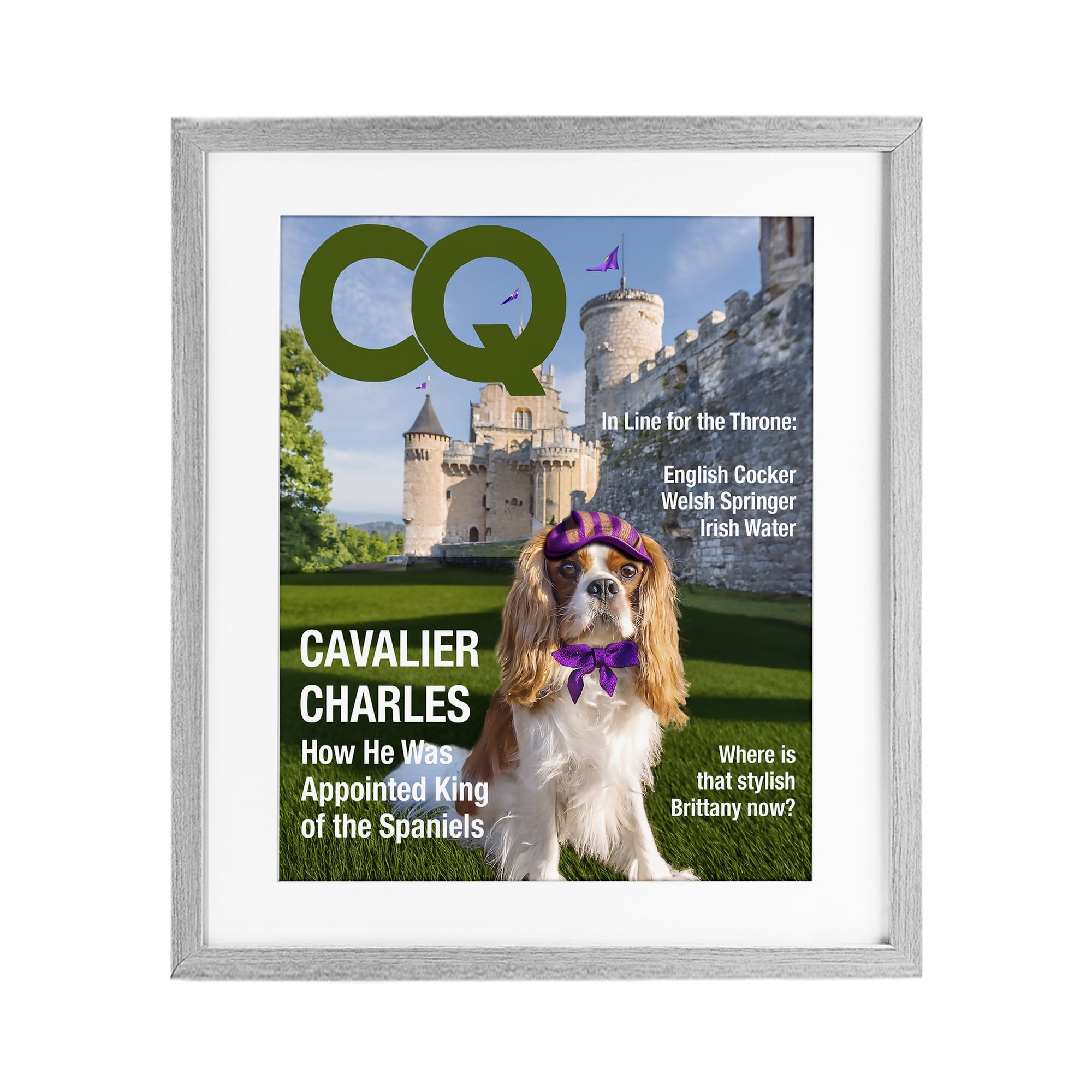Stupell Industries Royal Cavalier Magazine Gray Framed Print Under Glass, design by Grotto Studios