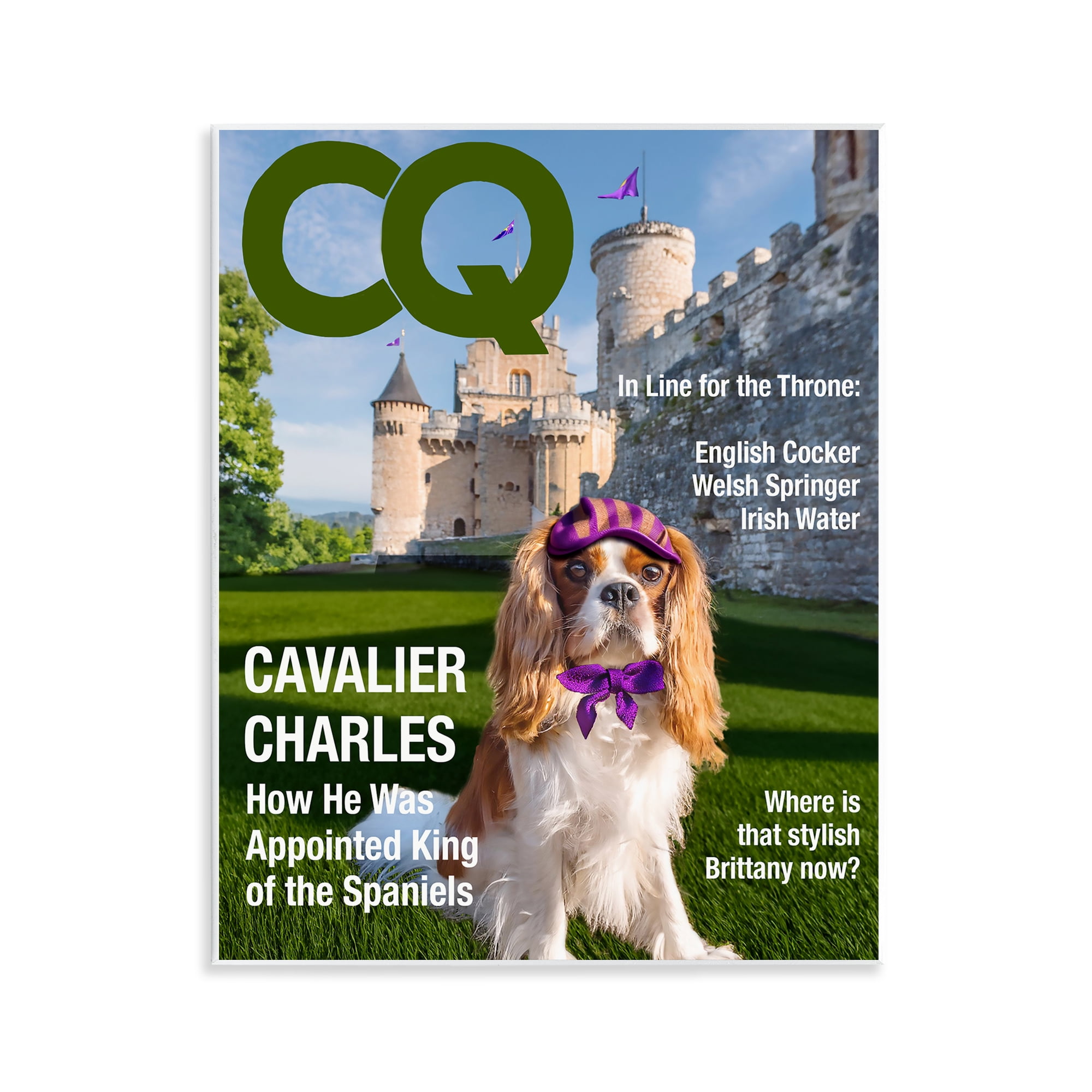 Stupell Industries Royal Cavalier Magazine Wall Plaque Art, design by Grotto Studios