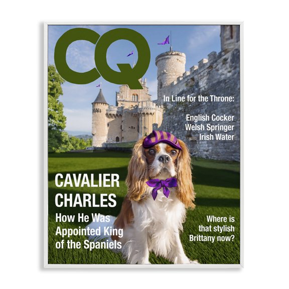 Stupell Industries Royal Cavalier Magazine White Framed Giclee Art, design by Grotto Studios