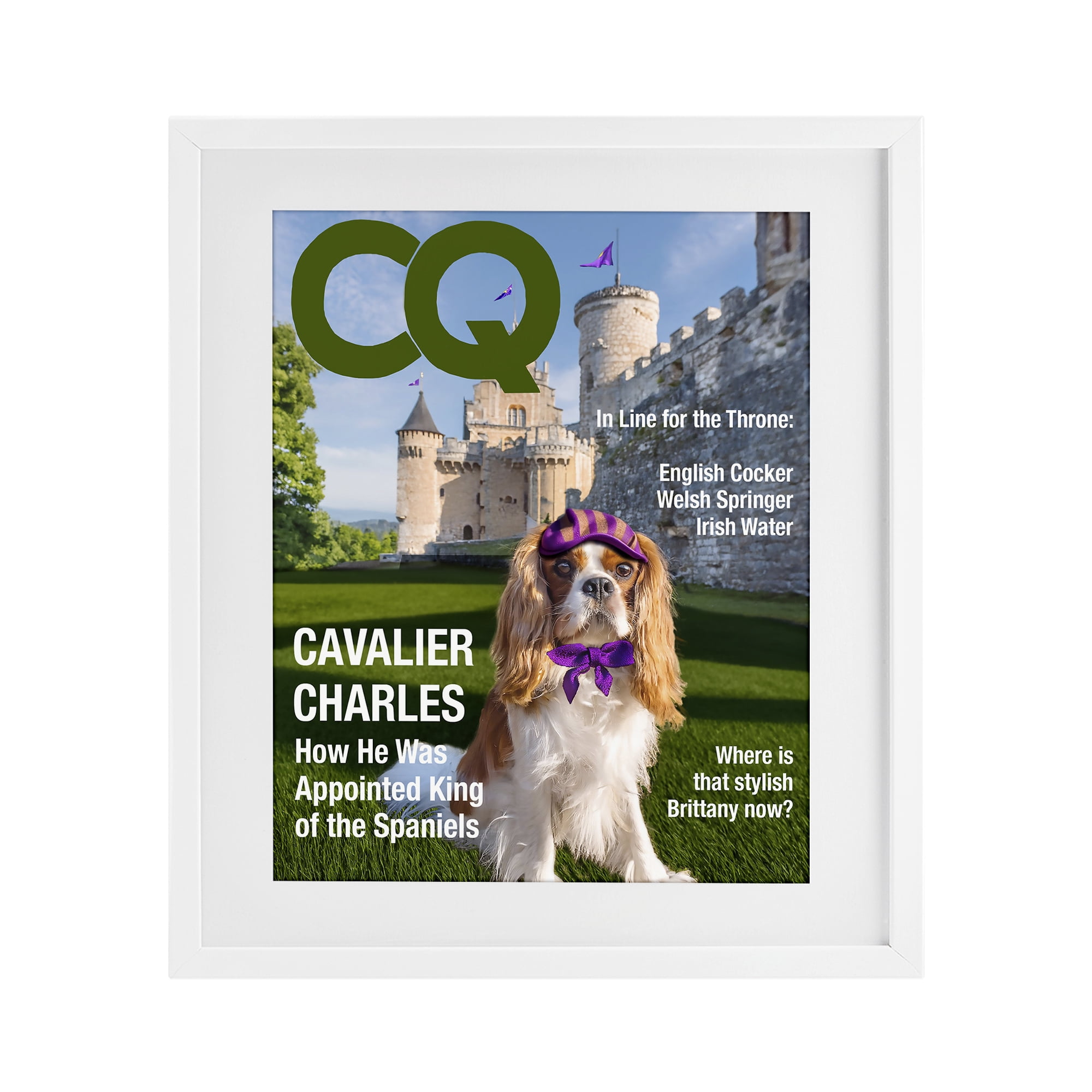 Stupell Industries Royal Cavalier Magazine White Framed Print Under Glass, design by Grotto Studios