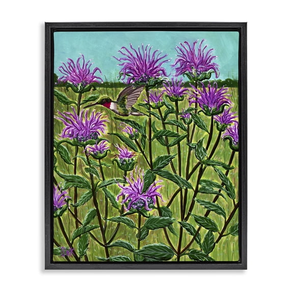 Stupell Industries Modern Ruby Throated Hummingbird & Beebalm Black Floating Frame Canvas Art, 17 x 21, by Sarah Waldron Kimball