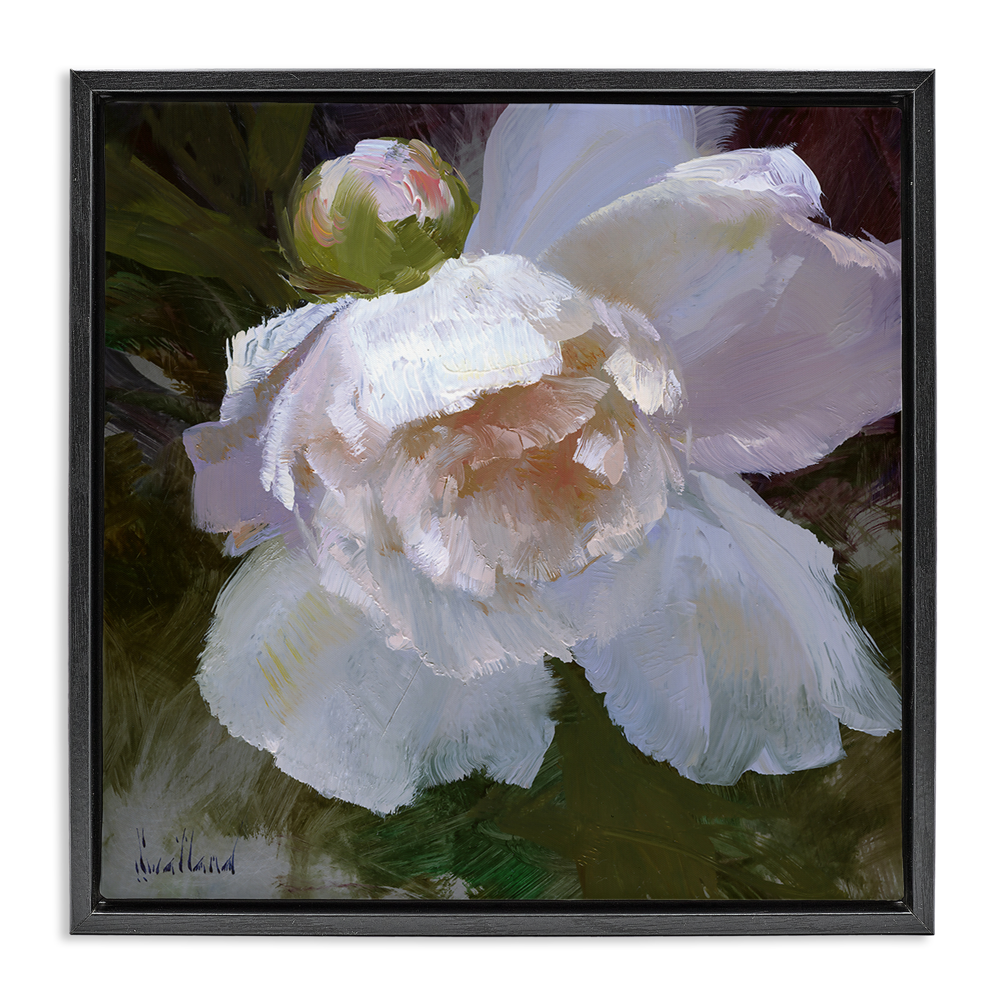 Stupell Industries Ruffled Petals White Flower Plants & Flowers Painting Black Floater Framed Canvas Art Print Wall Art, 25 x 25
