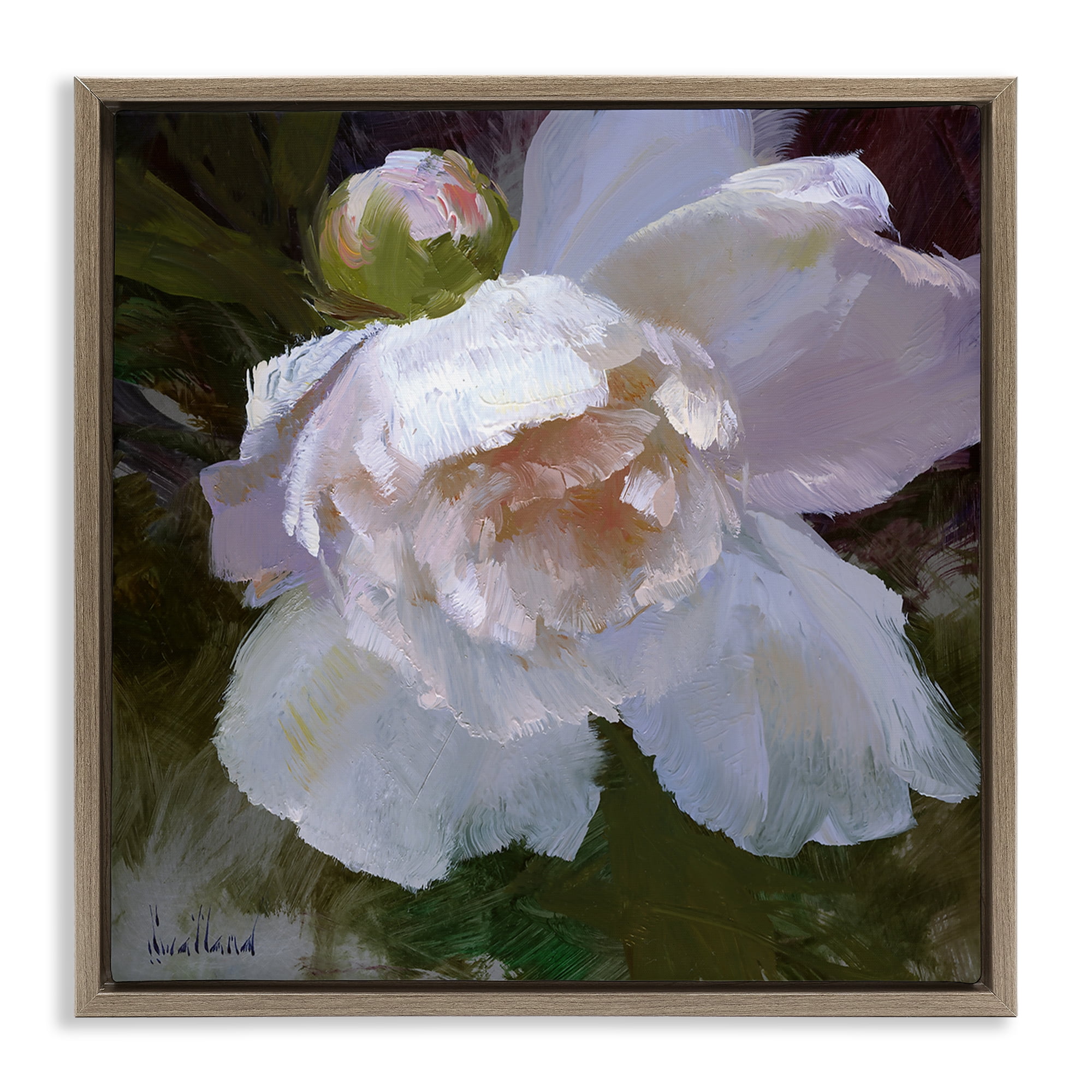 Stupell Industries Ruffled Petals White Flower Plants & Flowers Painting Brown Floater Framed Canvas Art Print Wall Art, 25 x 25