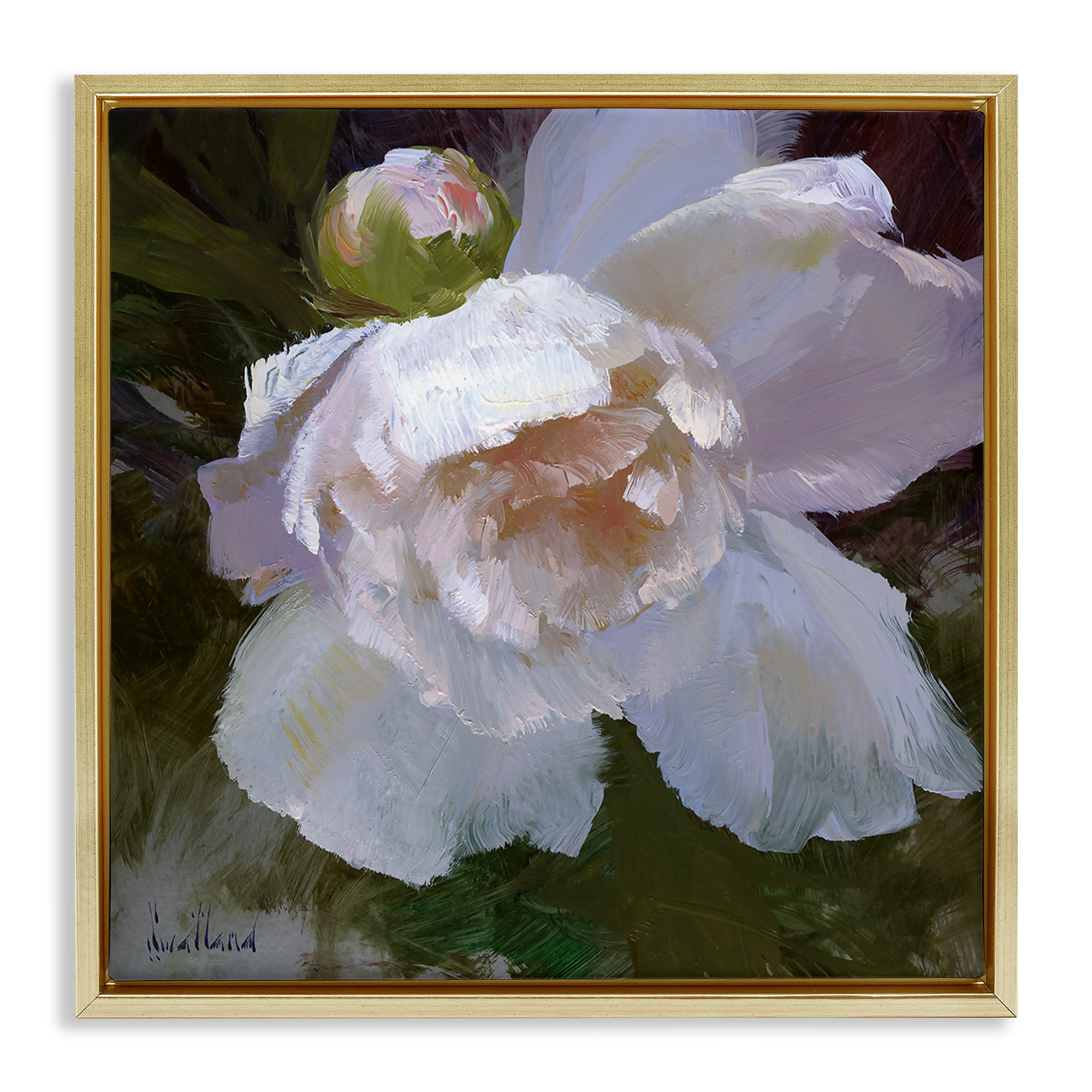 Stupell Industries Ruffled Petals White Flower Plants & Flowers Painting Gold Floater Framed Canvas Art Print Wall Art, 25 x 25